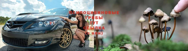 прущий лед Арсеньев