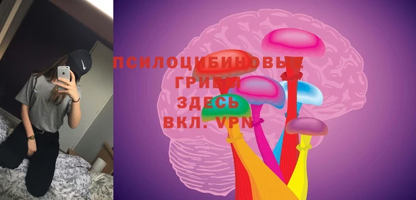 прущий лед Арсеньев