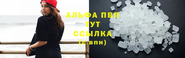 apvp Аркадак