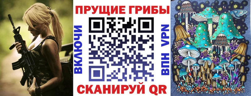 мега tor  Новосокольники  Псилоцибиновые грибы GOLDEN TEACHER 