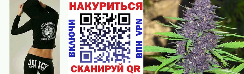 дарк нет клад  Новосокольники  Канабис гибрид 